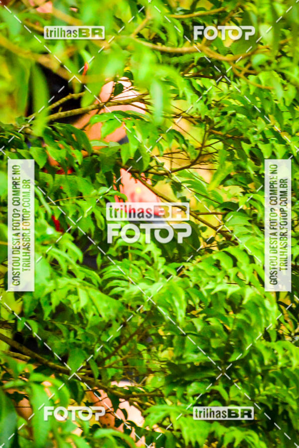 Buy your photos of the eventFirst Run on Fotop