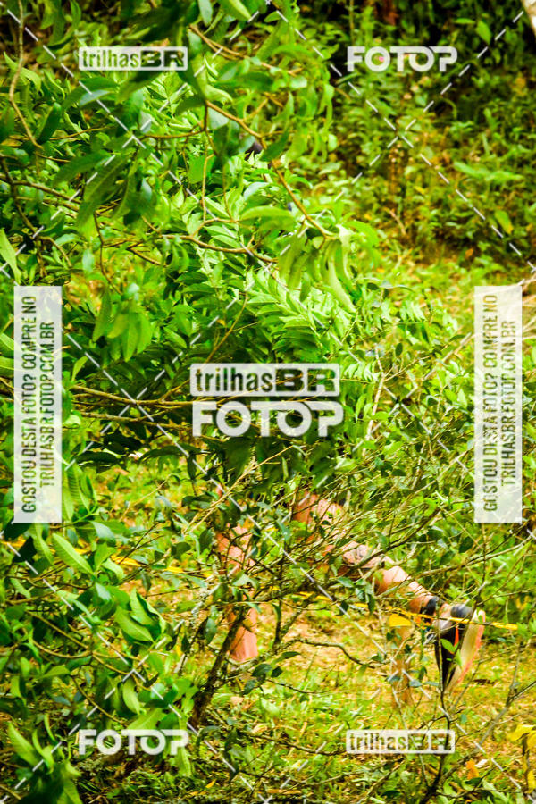 Buy your photos of the eventFirst Run on Fotop