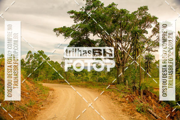 Buy your photos of the eventFirst Run on Fotop