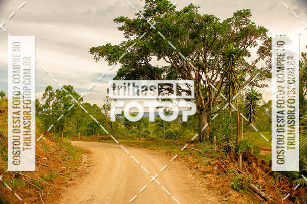 Buy your photos of the eventFirst Run on Fotop