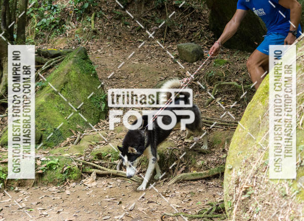 Buy your photos of the eventFirst Run on Fotop