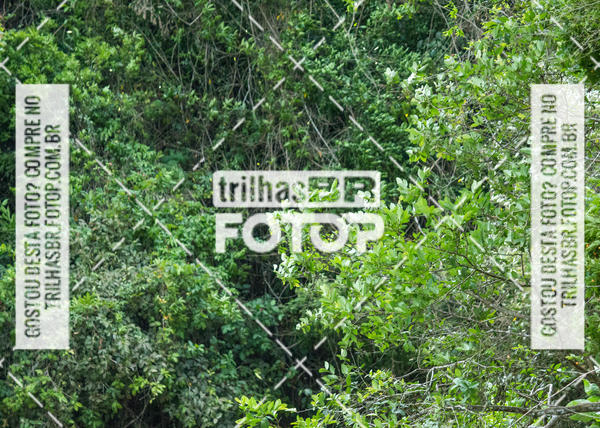 Buy your photos of the eventFirst Run on Fotop