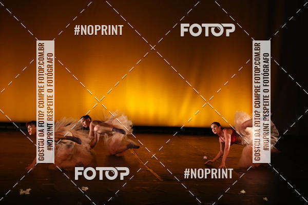 Buy your photos of the eventBRASIL -  ESPETCULO ACADEMIA WYNNER on Fotop