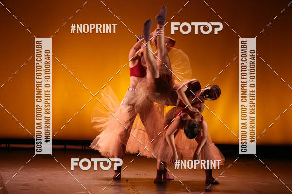 Buy your photos of the eventBRASIL -  ESPETCULO ACADEMIA WYNNER on Fotop