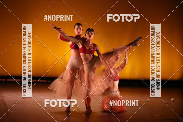 Buy your photos of the eventBRASIL -  ESPETCULO ACADEMIA WYNNER on Fotop