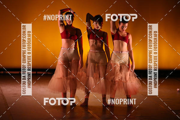 Buy your photos of the eventBRASIL -  ESPETCULO ACADEMIA WYNNER on Fotop