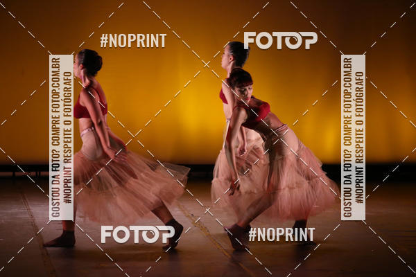 Buy your photos of the eventBRASIL -  ESPETCULO ACADEMIA WYNNER on Fotop