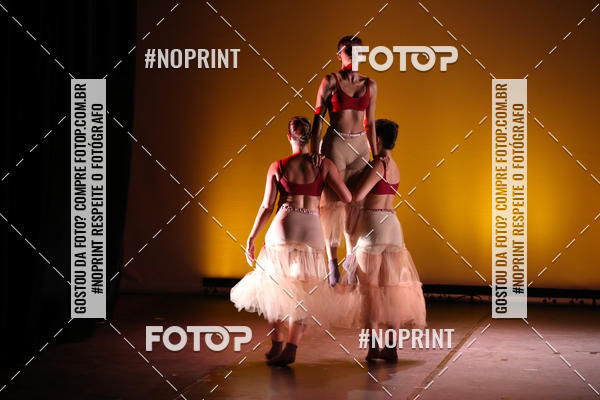 Buy your photos of the eventBRASIL -  ESPETCULO ACADEMIA WYNNER on Fotop