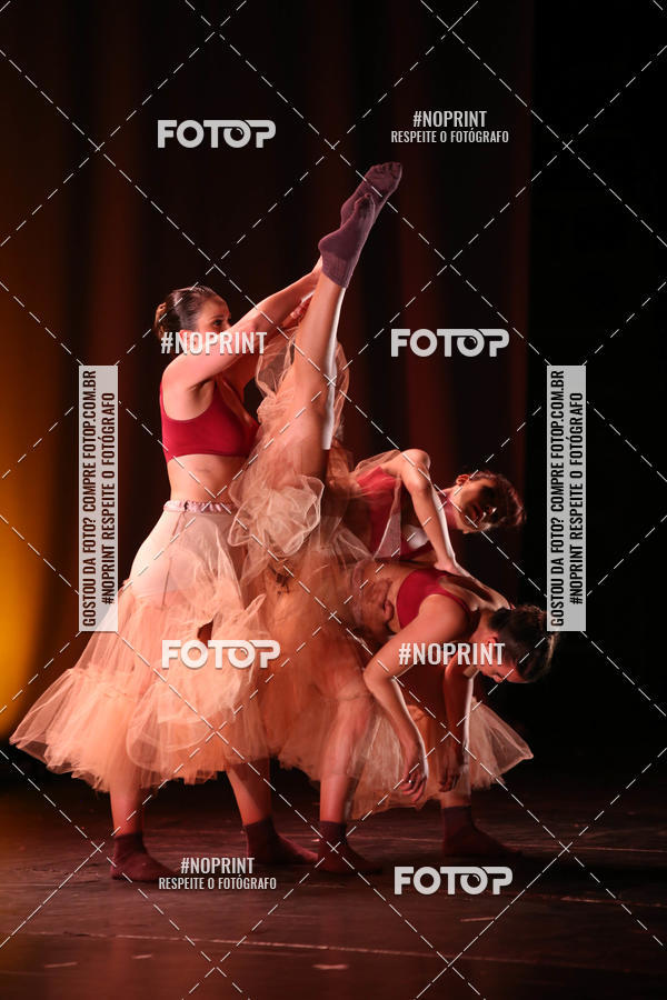 Buy your photos of the eventBRASIL -  ESPETCULO ACADEMIA WYNNER on Fotop