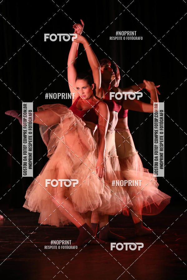 Buy your photos of the eventBRASIL -  ESPETCULO ACADEMIA WYNNER on Fotop