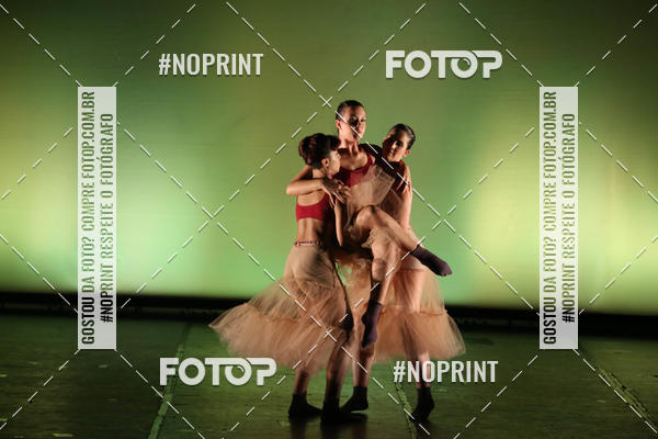 Buy your photos of the eventBRASIL -  ESPETCULO ACADEMIA WYNNER on Fotop