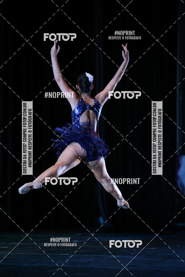 Buy your photos of the eventBRASIL -  ESPETCULO ACADEMIA WYNNER on Fotop