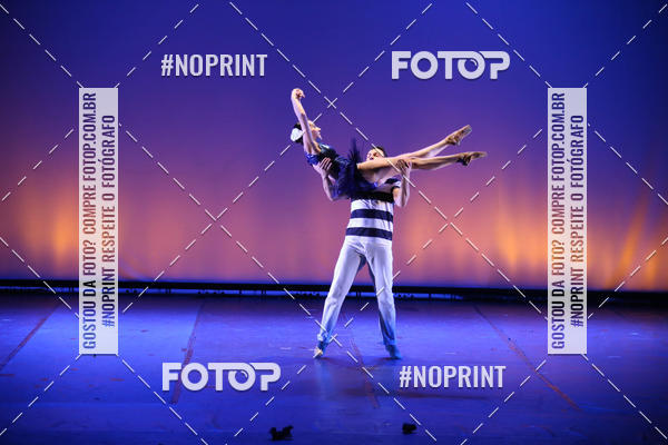 Buy your photos of the eventBRASIL -  ESPETCULO ACADEMIA WYNNER on Fotop