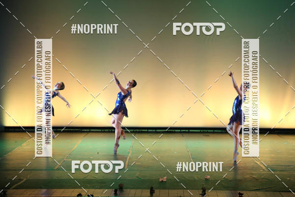 Buy your photos of the eventBRASIL -  ESPETCULO ACADEMIA WYNNER on Fotop