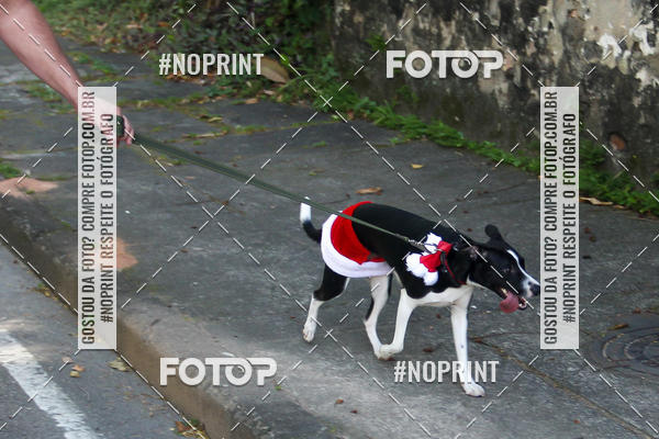 Buy your photos of the eventSubida do Papai Noel - treino da Equipe P� carioca on Fotop