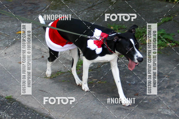 Buy your photos of the eventSubida do Papai Noel - treino da Equipe P� carioca on Fotop