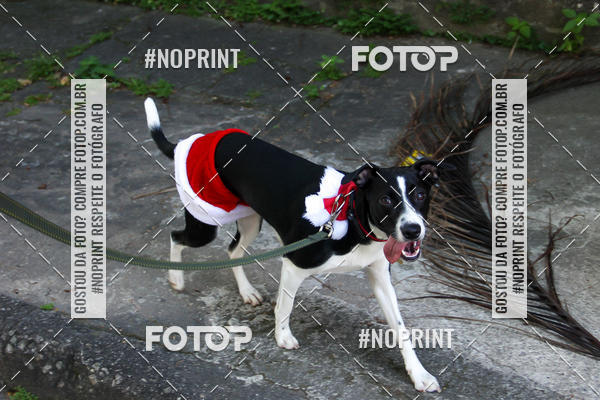 Buy your photos of the eventSubida do Papai Noel - treino da Equipe P� carioca on Fotop