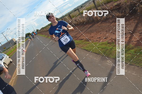 Buy your photos of the event1 Beer Run Expo guas on Fotop
