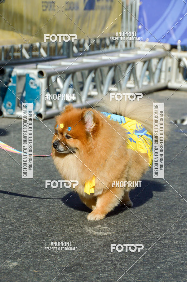 Buy your photos of the eventVamos Passear Rio de Janeiro on Fotop