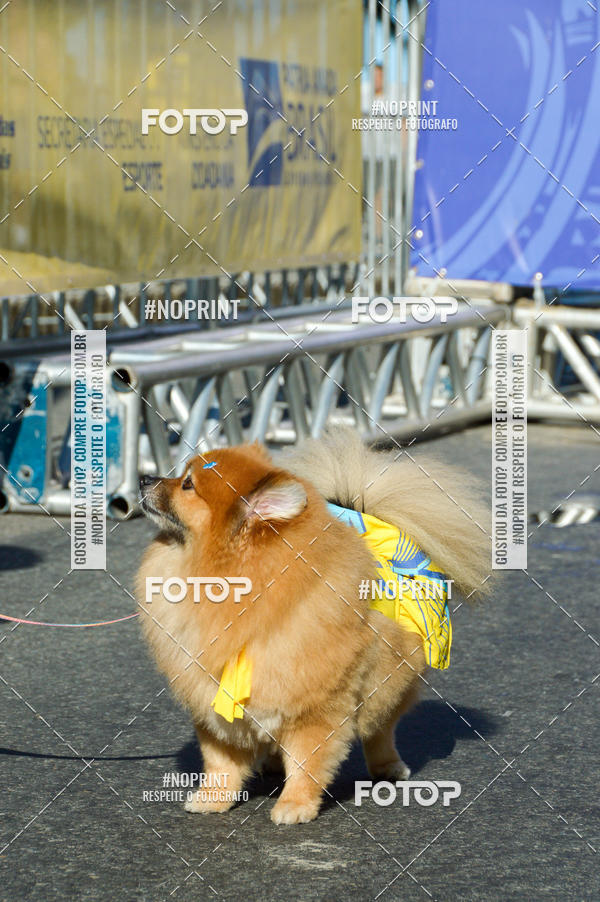 Buy your photos of the eventVamos Passear Rio de Janeiro on Fotop