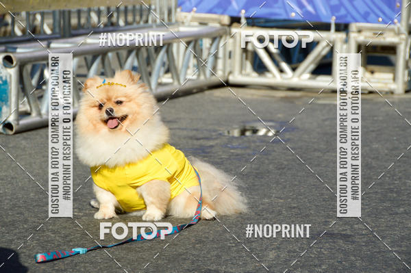 Buy your photos of the eventVamos Passear Rio de Janeiro on Fotop