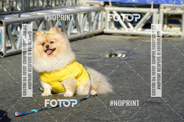 Buy your photos of the eventVamos Passear Rio de Janeiro on Fotop