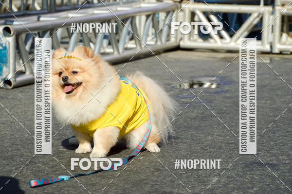 Buy your photos of the eventVamos Passear Rio de Janeiro on Fotop