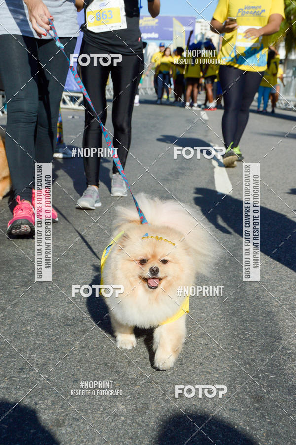 Buy your photos of the eventVamos Passear Rio de Janeiro on Fotop