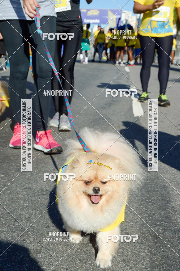 Buy your photos of the eventVamos Passear Rio de Janeiro on Fotop