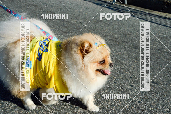 Buy your photos of the eventVamos Passear Rio de Janeiro on Fotop