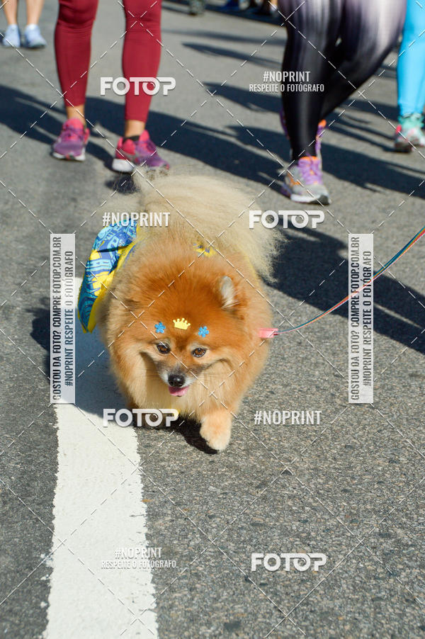 Buy your photos of the eventVamos Passear Rio de Janeiro on Fotop