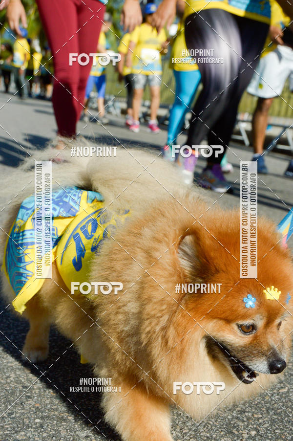 Buy your photos of the eventVamos Passear Rio de Janeiro on Fotop