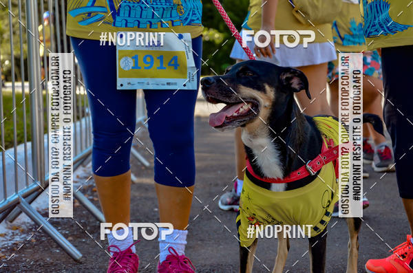 Buy your photos of the eventVamos Passear BRASLIA on Fotop