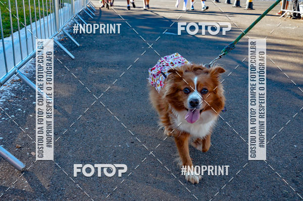 Buy your photos of the eventVamos Passear BRASLIA on Fotop