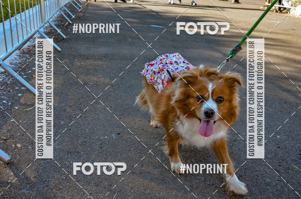 Buy your photos of the eventVamos Passear BRASLIA on Fotop