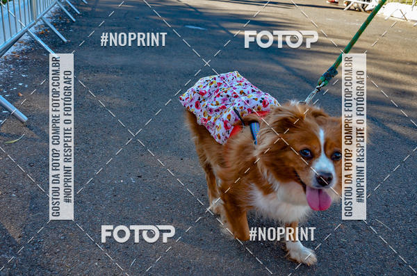 Buy your photos of the eventVamos Passear BRASLIA on Fotop