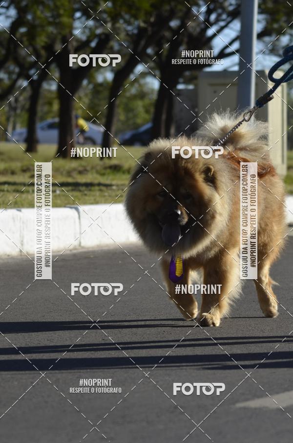 Buy your photos of the eventVamos Passear BRASLIA on Fotop