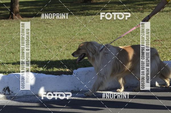 Buy your photos of the eventVamos Passear BRASLIA on Fotop