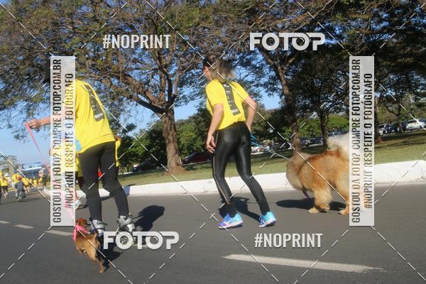 Buy your photos of the eventVamos Passear BRASLIA on Fotop