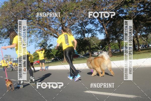 Buy your photos of the eventVamos Passear BRASLIA on Fotop