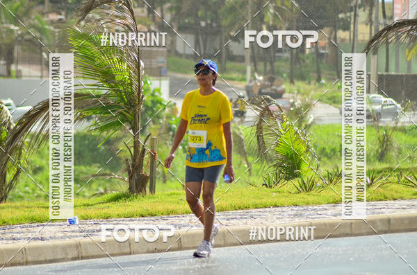 Buy your photos of the eventVamos Passear SALVADOR on Fotop