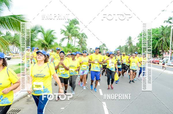 Buy your photos of the eventVamos Passear SALVADOR on Fotop