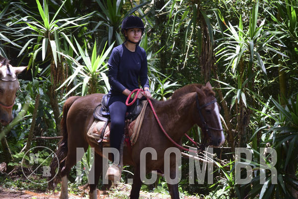 Buy your photos of the eventNR Sun - 18 A 21/12/18 on Fotop