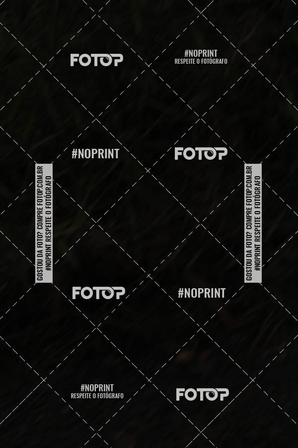 Buy your photos of the event1 Corrida de Montanha - Catas Altas on Fotop