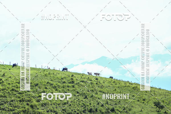 Buy your photos of the eventCopa Vale de MTB on Fotop