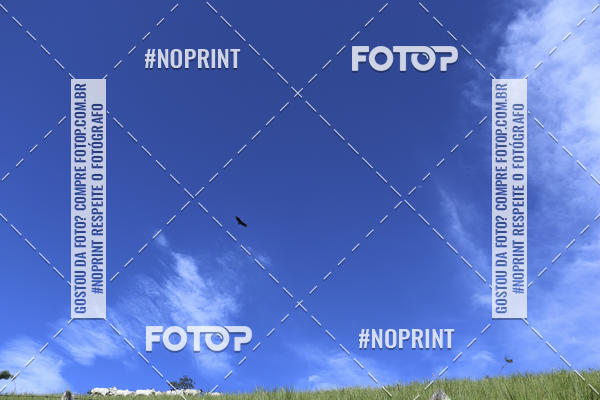 Buy your photos of the eventCopa Vale de MTB on Fotop