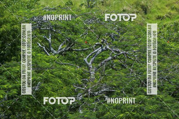 Buy your photos of the eventCopa Vale de MTB on Fotop