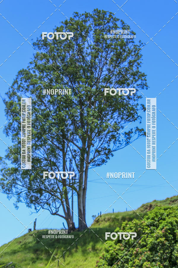 Buy your photos of the eventCopa Vale de MTB on Fotop