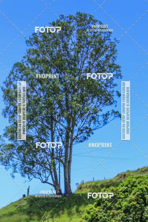 Buy your photos of the eventCopa Vale de MTB on Fotop