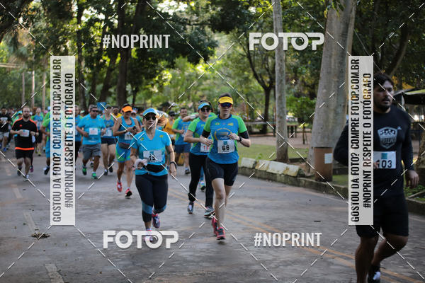 Buy your photos of the eventCORRIDA PRO RUNNER on Fotop